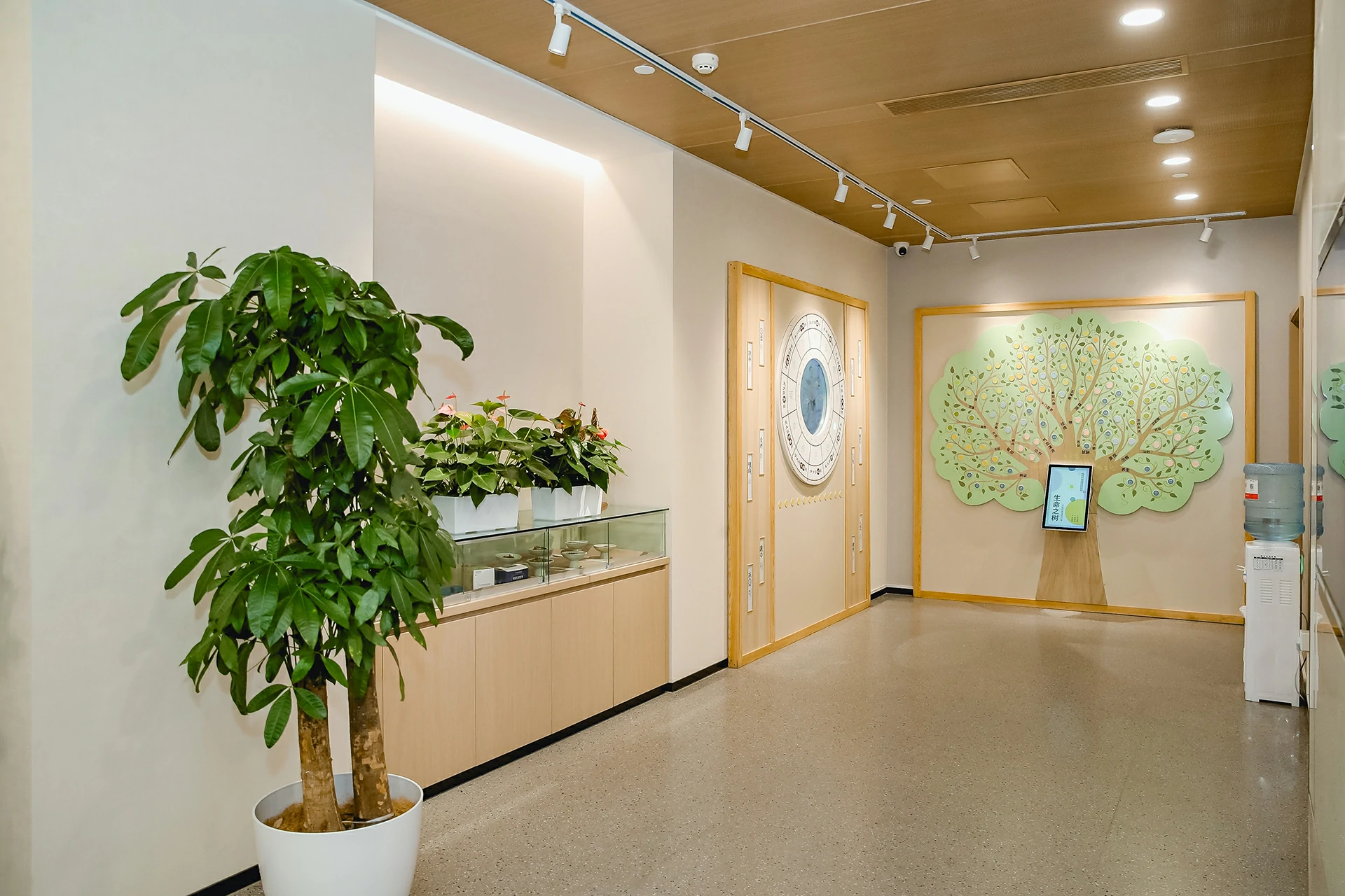 TCM Department Corridor and Interior Decor