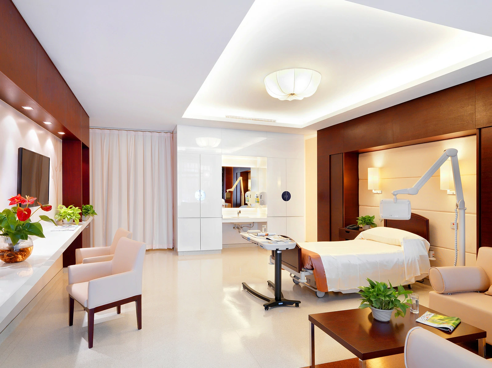VIP Inpatient Suite
