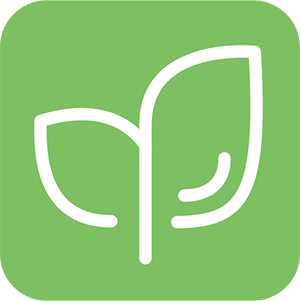 Cancer Care Icon
